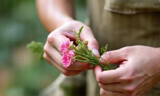 Close up of hands trimming flower stems