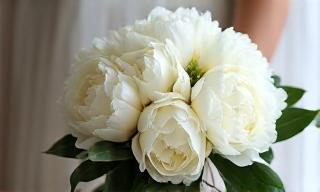 A beautiful wedding bouquet with white peonies